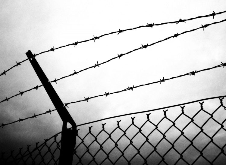 Barbed Wire​2